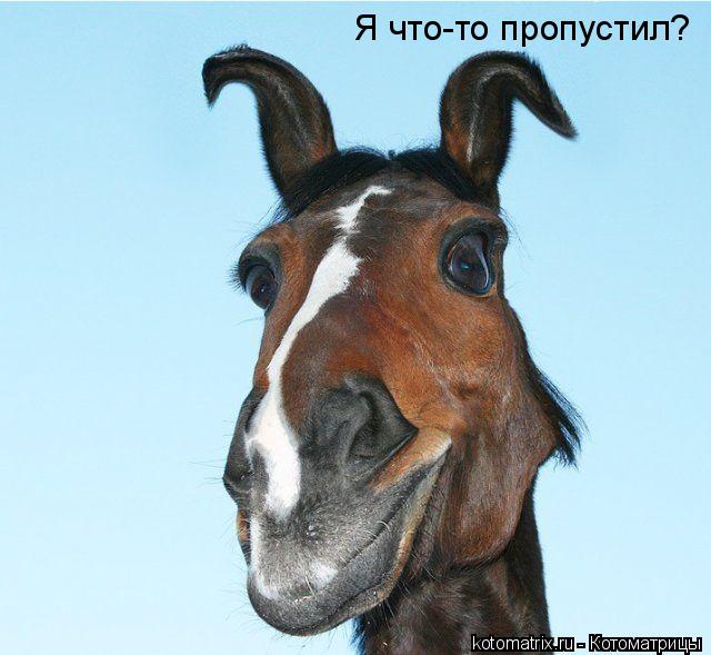 Я что-то пропустил?... Котоматрица: Я что-то пропустил?