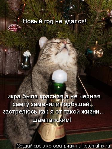 Новый год не удался! икра была красная,а не черная. семгу заменили горбушей... шампанским! застрелюсь... Котоматрица: Новый год не удался! икра была красная,а не черная. семгу заменили горбушей... шампанским! застрелюсь как я от такой жизни...