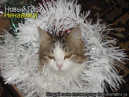 Новый Год? Ненавижу!... Котоматрица: Новый Год? Ненавижу!