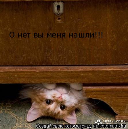 О нет вы меня нашли!!!... Котоматрица: О нет вы меня нашли!!!