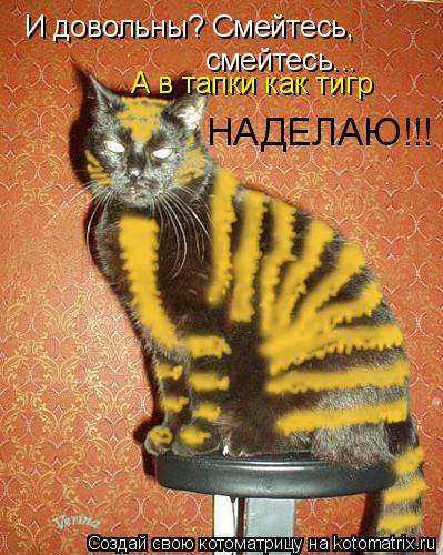 Котоматрица: И довольны? Смейтесь, смейтесь... А в тапки как тигр НАДЕЛАЮ!!!