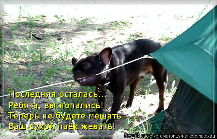 Последняя осталась... Ребята, вы попались! Теперь не будете мешать Ваш сухой паёк жевать!... Котоматрица: Последняя осталась... Ребята, вы попались! Теперь не будете мешать Ваш сухой паёк жевать!
