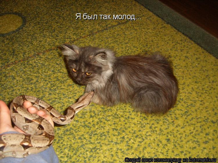 Я был так молод...... Котоматрица: Я был так молод...