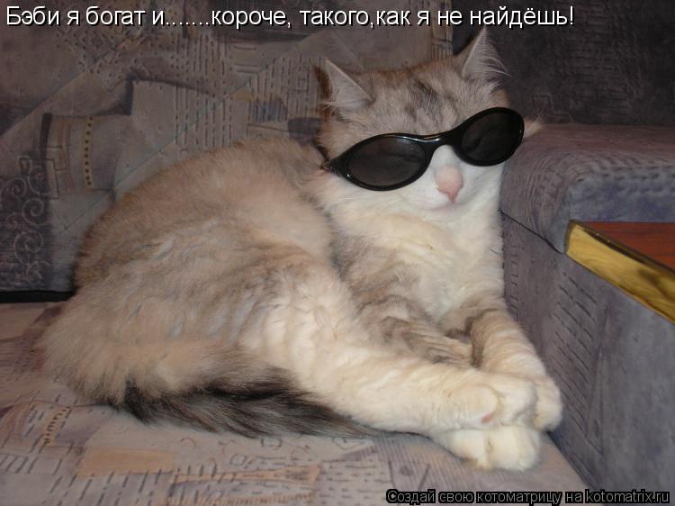Котоматрица: Бэби я богат и.......короче, такого,как я не найдёшь!