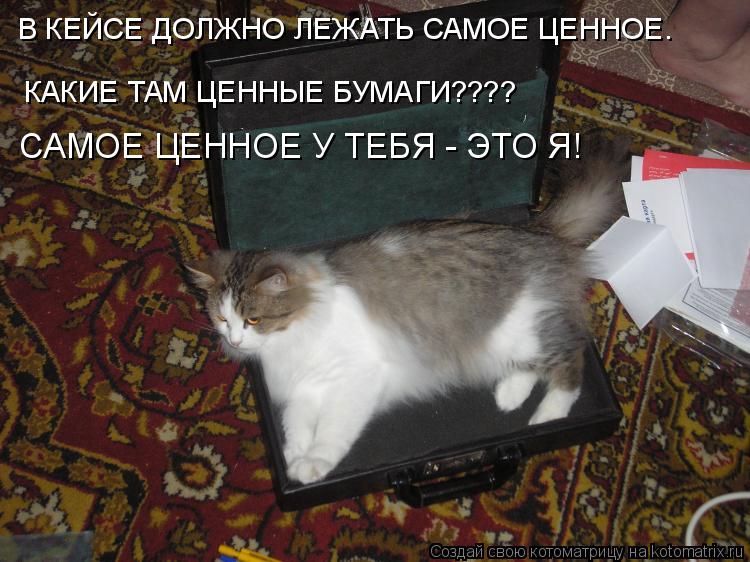 Котоматрица: КАКИЕ ТАМ ЦЕННЫЕ БУМАГИ???? В КЕЙСЕ ДОЛЖНО ЛЕЖАТЬ САМОЕ ЦЕННОЕ. САМОЕ ЦЕННОЕ У ТЕБЯ - ЭТО Я!
