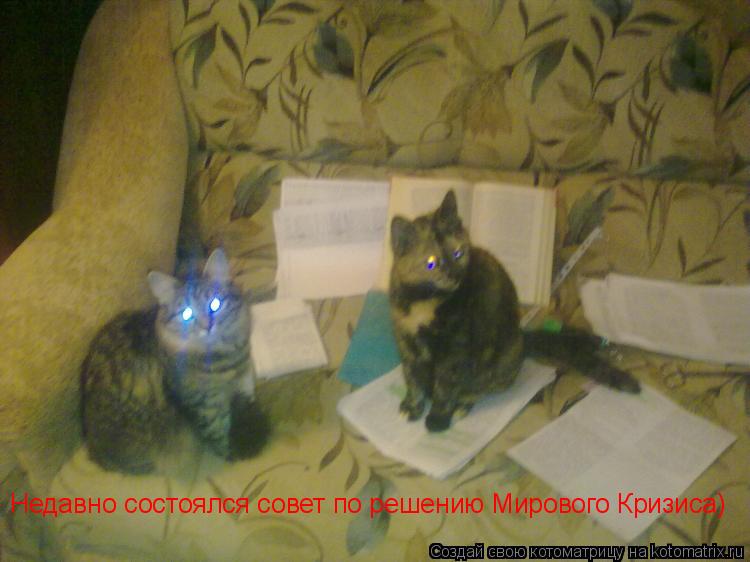 Котоматрица: Недавно состоялся совет по решению Мирового Кризиса)