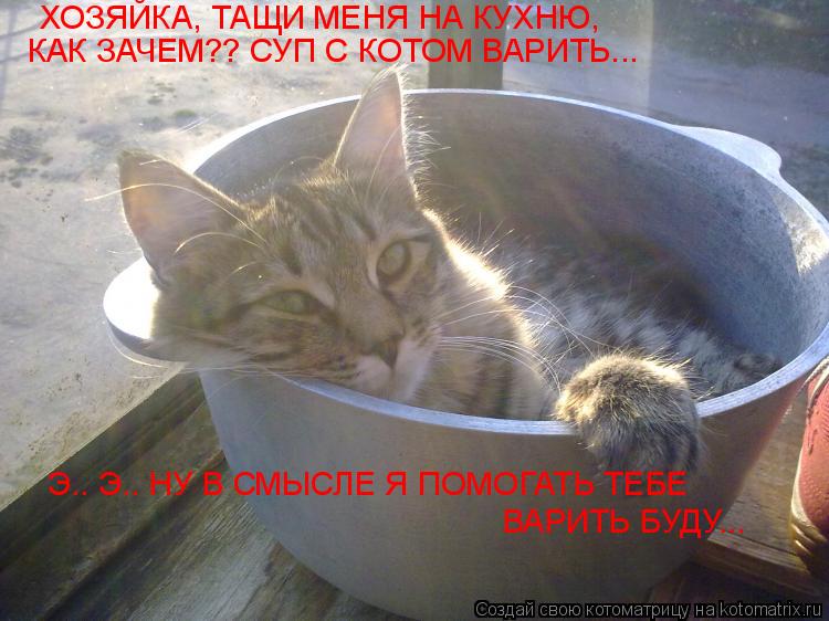 Котоматрица: ХОЗЯЙКА, ТАЩИ МЕНЯ НА КУХНЮ, КАК ЗАЧЕМ?? СУП С КОТОМ ВАРИТЬ... Э.. Э.. НУ В СМЫСЛЕ Я ПОМОГАТЬ ТЕБЕ ВАРИТЬ БУДУ...