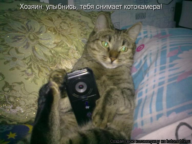 Котоматрица: Хозяин, улыбнись, тебя снимает котокамера!