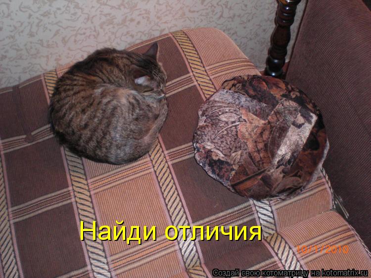 Найди отличия... Котоматрица: Найди отличия