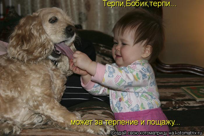 Котоматрица: Терпи,Бобик,терпи... может за терпение и пощажу...