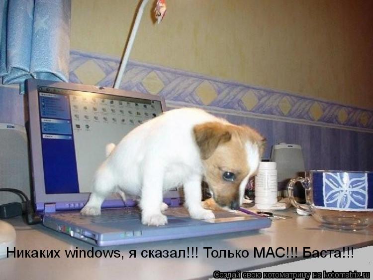 Котоматрица: Никаких windows, я сказал!!! Только MAC!!! Баста!!!
