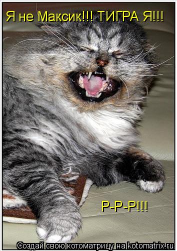 Котоматрица: Я не Максик!!! ТИГРА Я!!! Р-Р-Р!!!