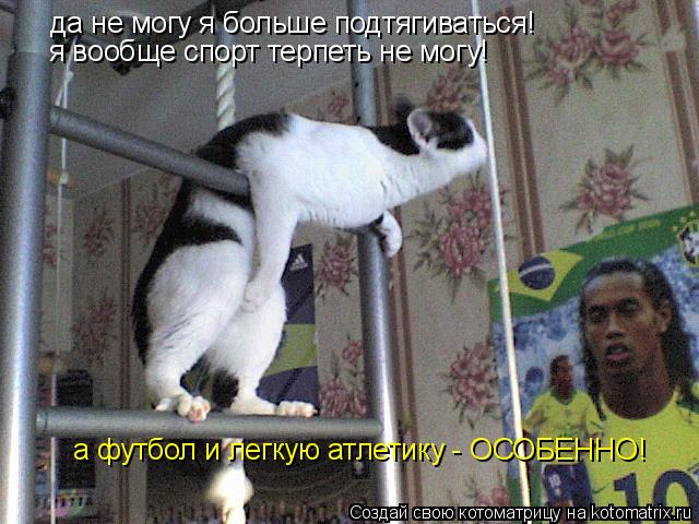 Котоматрица: да не могу я больше подтягиваться! я вообще спорт терпеть не могу!  а футбол и легкую атлетику - ОСОБЕННО!