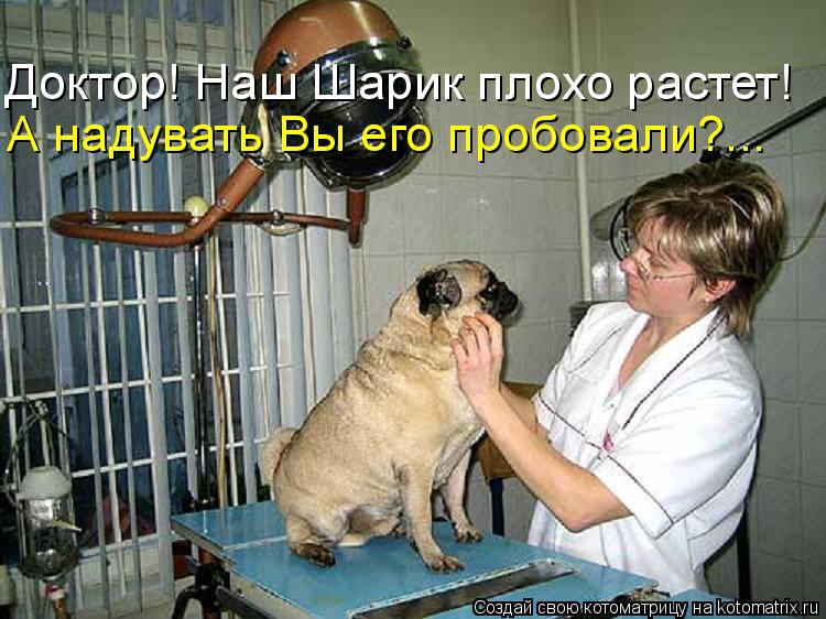 Котоматрица: Доктор! Наш Шарик плохо растет! А надувать Вы его пробовали?...