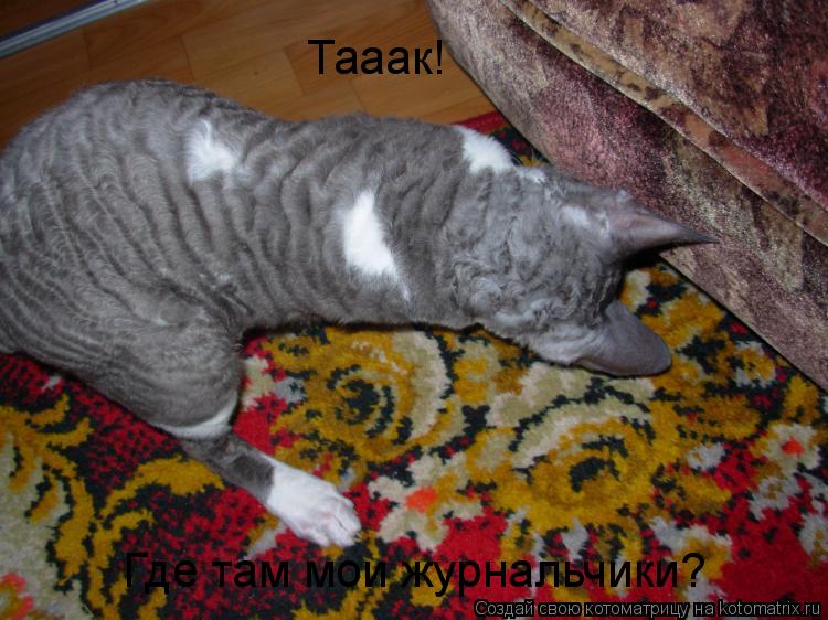 Котоматрица: Тааак!  Где там мои журнальчики?