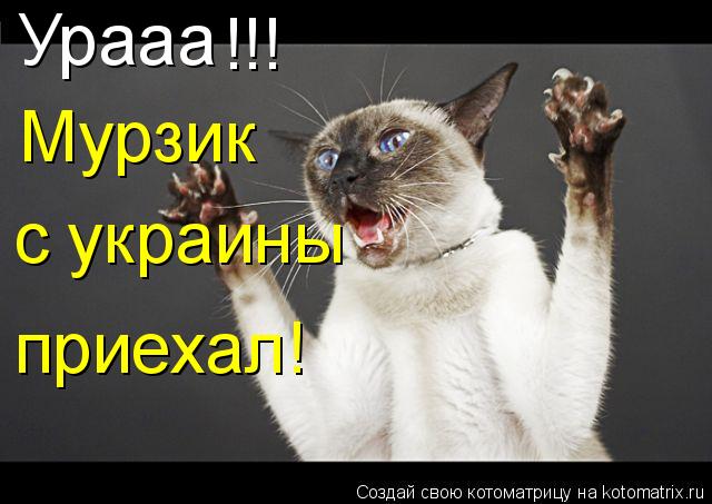 Котоматрица: Урааа !!! Мурзик с украины приехал!