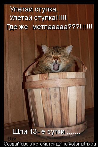 Котоматрица: Улетай ступка, Улетай ступка!!!!! Где же  метлааааа???!!!!!! Шли 13- е сутки .......