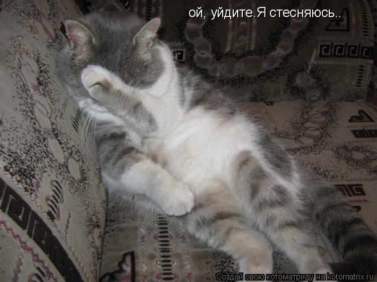 ой, уйдите.Я стесняюсь..... Котоматрица: ой, уйдите.Я стесняюсь..