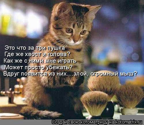 Это что за три пушка Где же хвост и голова? Как же с ними мне играть Может просто убежать? Вдруг появ... Котоматрица: Это что за три пушка Где же хвост и голова? Как же с ними мне играть Может просто убежать? Вдруг появится из них....злой, огромный мыш?