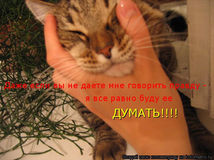 Даже если вы не даете мне говорить правду - я все равно буду ее ДУМАТЬ!!!!... Котоматрица: Даже если вы не даете мне говорить правду - я все равно буду ее ДУМАТЬ!!!!