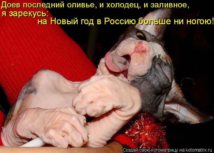 Доев последний оливье, и холодец, и заливное, я зарекусь: на Новый год в Россию больше ни ногою!... Котоматрица: Доев последний оливье, и холодец, и заливное, я зарекусь: на Новый год в Россию больше ни ногою!
