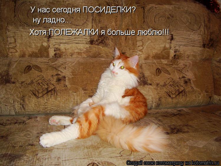 Котоматрица: У нас сегодня ПОСИДЕЛКИ? ну ладно... Хотя ПОЛЕЖАЛКИ я больше люблю!!!