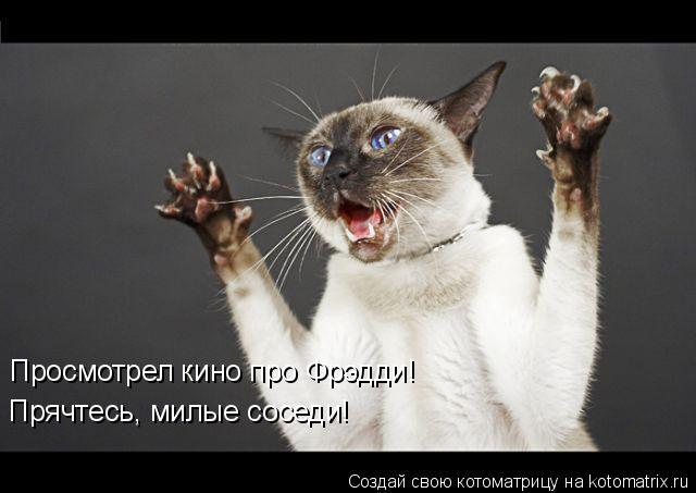 Просмотрел кино про Фрэдди! Прячтесь, милые соседи!... Котоматрица: Просмотрел кино про Фрэдди! Прячтесь, милые соседи!