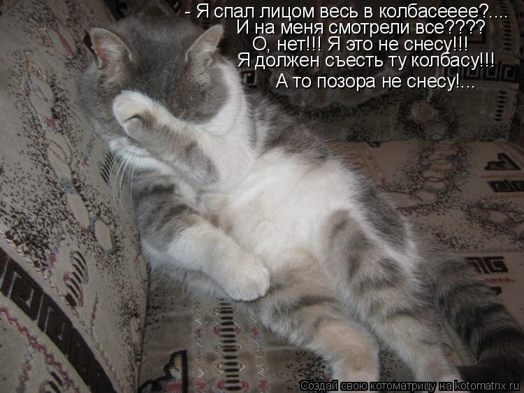 А то позора не снесу!... - Я спал лицом весь в колбасееее?.... И на меня смотрели все???? О, нет!!! Я... Котоматрица: А то позора не снесу!... - Я спал лицом весь в колбасееее?.... И на меня смотрели все???? О, нет!!! Я это не снесу!!! Я должен съесть ту колбасу!!!