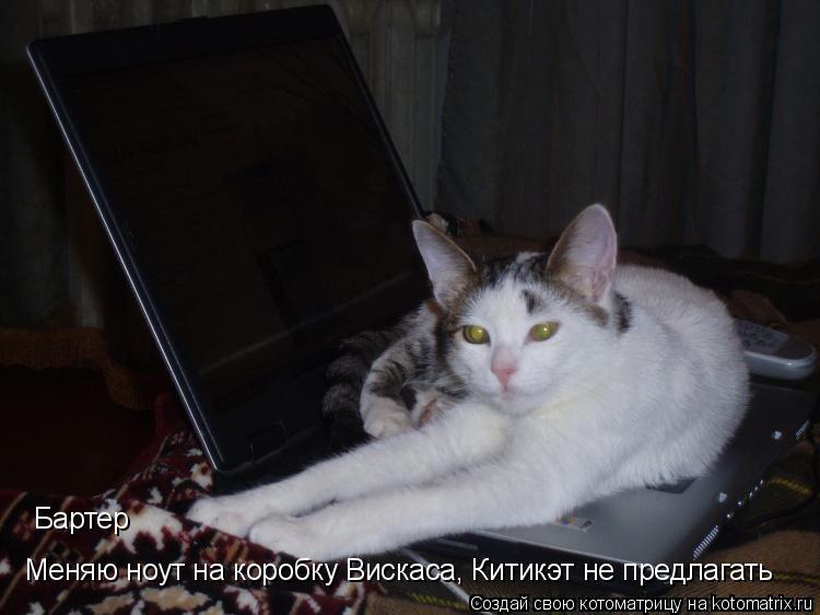 Бартер... Котоматрица: Бартер
