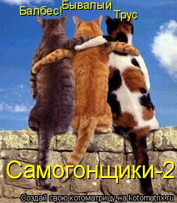 Балбес! Бывалый Трус Самогонщики-2... Котоматрица: Балбес! Бывалый Трус Самогонщики-2