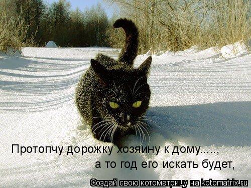 Протопчу дорожку хозяину к дому....., а то год его искать будет,... Котоматрица: Протопчу дорожку хозяину к дому....., а то год его искать будет,