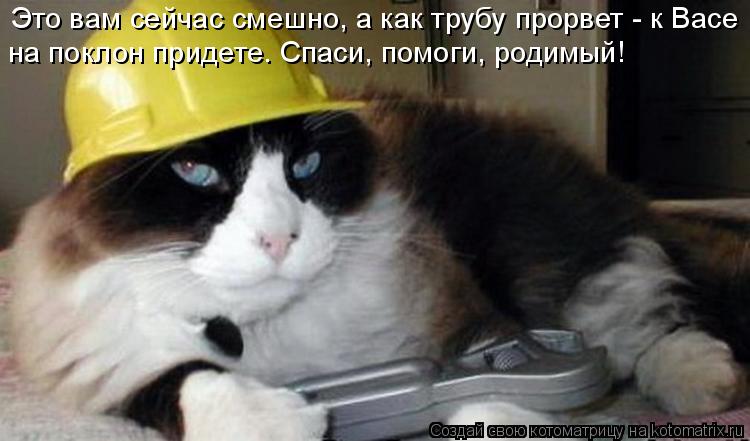 Котоматрица: Это вам сейчас смешно, а как трубу прорвет - к Васе на поклон придете. Спаси, помоги, родимый!