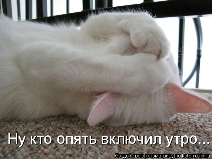 Котоматрица: Ну кто опять включил утро...