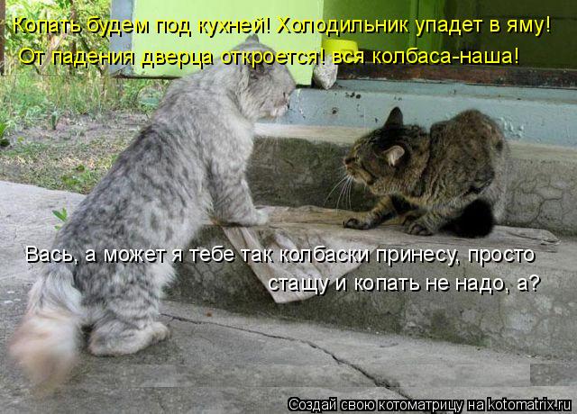 Копать будем под кухней! Холодильник упадет в яму! От падения дверца откроется! вся колбаса-наша! Вас... Котоматрица: Копать будем под кухней! Холодильник упадет в яму! От падения дверца откроется! вся колбаса-наша! Вась, а может я тебе так колбаски принесу, п