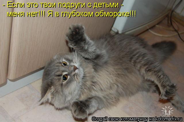 - Если это твои подруги с детьми - меня нет!!! Я в глубоком обмороке!!!... Котоматрица: - Если это твои подруги с детьми - меня нет!!! Я в глубоком обмороке!!!