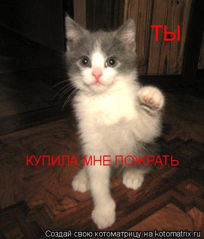 Котоматрица: ТЫ КУПИЛА МНЕ ПОЖРАТЬ