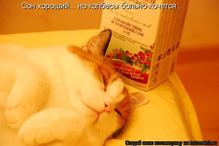 Котоматрица: Сон хороший... но колбасы больно хочется...