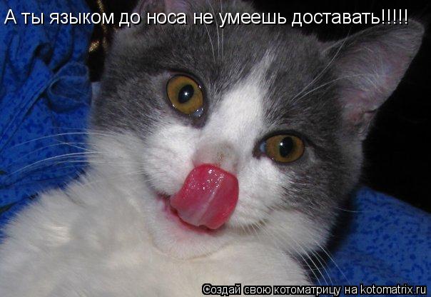 Котоматрица: А ты языком до носа не умеешь доставать!!!!!