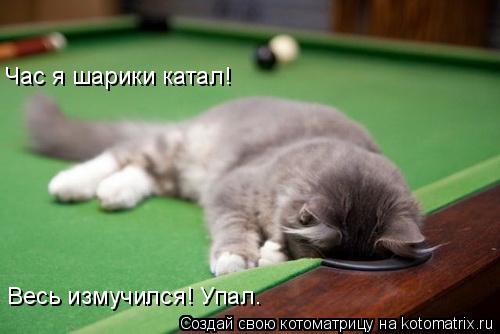 Котоматрица: Час я шарики катал! Весь измучился! Упал.