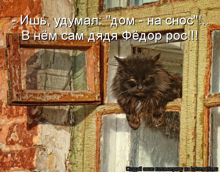 - Ишь, удумал: "дом - на снос"!.. В нём сам дядя Фёдор рос!!!... Котоматрица: - Ишь, удумал: "дом - на снос"!.. В нём сам дядя Фёдор рос!!!