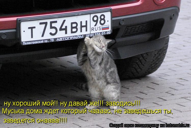 ну хороший мой!! ну давай же!!! заводись!!! Муська дома ждет который чаааас, не заведешься ты, завед... Котоматрица: ну хороший мой!! ну давай же!!! заводись!!! Муська дома ждет который чаааас, не заведешься ты, заведется онаааа!!!!