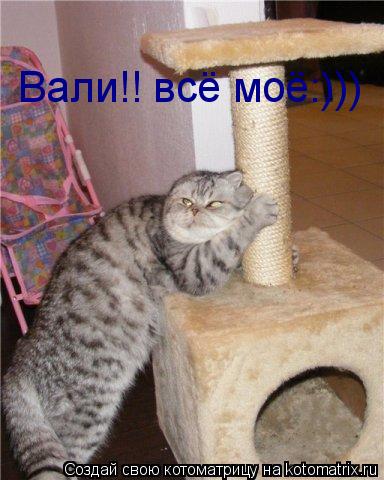 Вали!! всё моё:)))... Котоматрица: Вали!! всё моё:)))