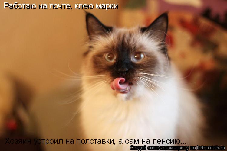 Работаю на почте, клею марки Хозяин устроил на полставки, а сам на пенсию....... Котоматрица: Работаю на почте, клею марки Хозяин устроил на полставки, а сам на пенсию....