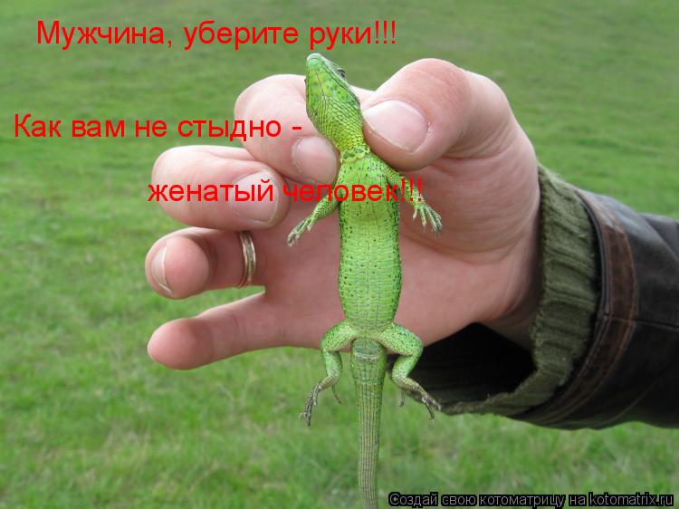 Мужчина, уберите руки!!! Как вам не стыдно - женатый человек!!!... Котоматрица: Мужчина, уберите руки!!! Как вам не стыдно - женатый человек!!!