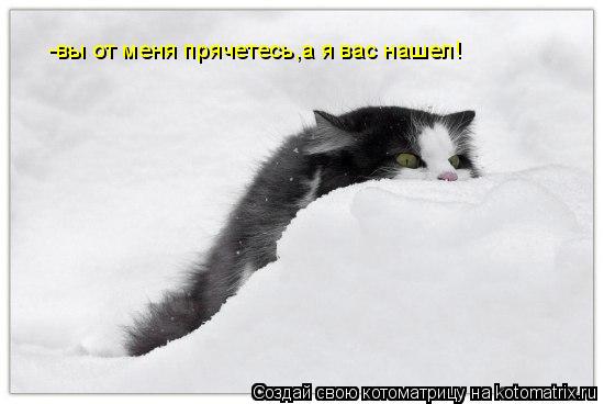 -вы от меня прячетесь,а я вас нашел!... Котоматрица: -вы от меня прячетесь,а я вас нашел!