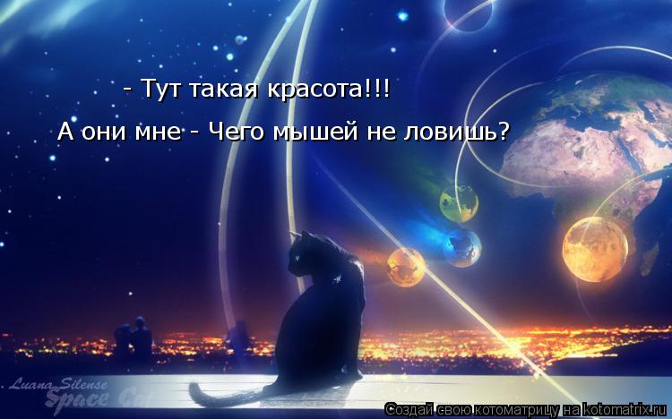 - Тут такая красота!!! А они мне - Чего мышей не ловишь?... Котоматрица: - Тут такая красота!!! А они мне - Чего мышей не ловишь?