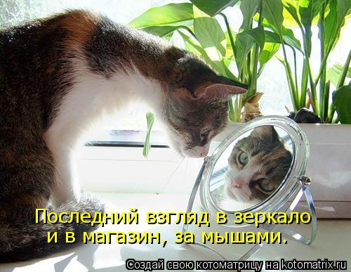 Последний взгляд в зеркало и в магазин, за мышами.... Котоматрица: Последний взгляд в зеркало и в магазин, за мышами.