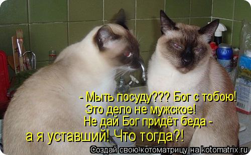 - Мыть посуду??? Бог с тобою! Это дело не мужское! Не дай Бог придёт беда - а я уставший! Что тогда?!... Котоматрица: - Мыть посуду??? Бог с тобою! Это дело не мужское! Не дай Бог придёт беда - а я уставший! Что тогда?!