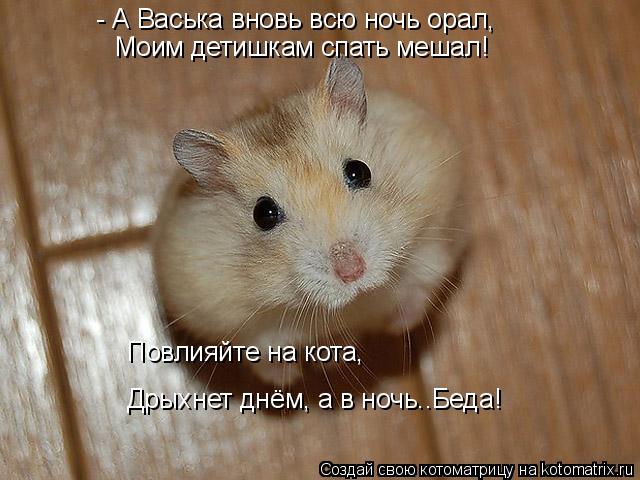 - А Васька вновь всю ночь орал, Моим детишкам спать мешал! Повлияйте на кота, Дрыхнет днём, а в ночь... Котоматрица: - А Васька вновь всю ночь орал, Моим детишкам спать мешал! Повлияйте на кота, Дрыхнет днём, а в ночь..Беда!
