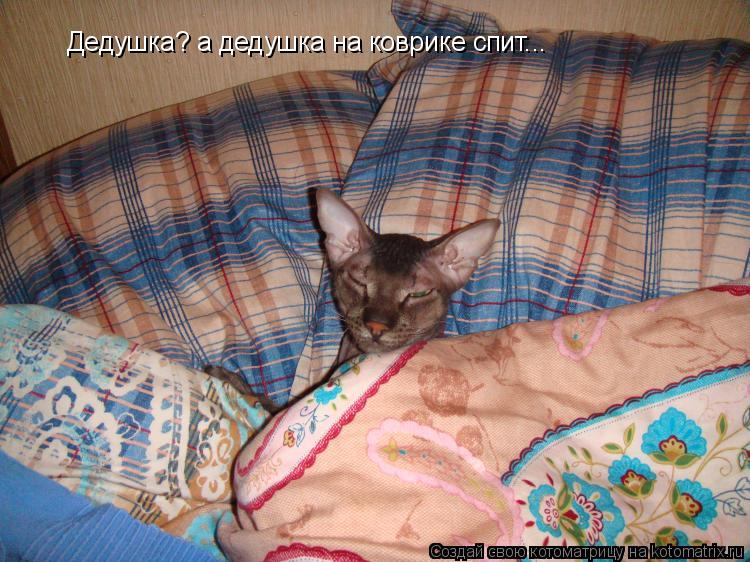 Котоматрица: Дедушка? а дедушка на коврике спит...